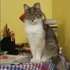 Отзыв от Анжелика Озерова